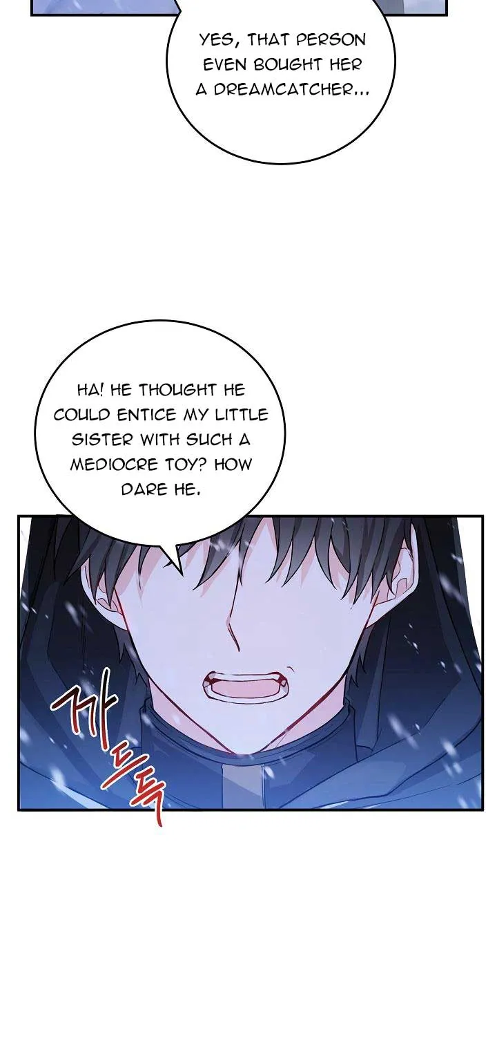 The Heroine Wants Me As Her Sister-in-Law Chapter 6 page 25 - 