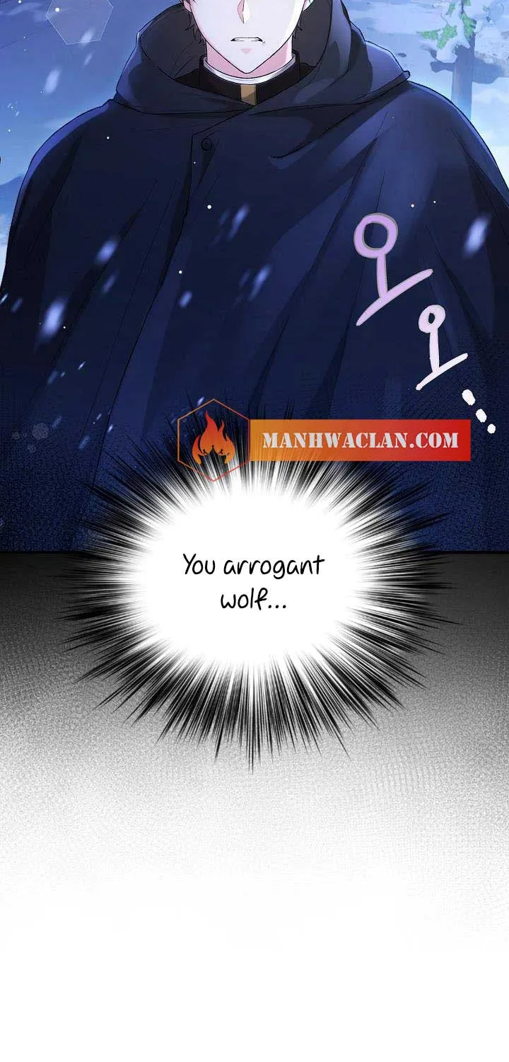 The Heroine Wants Me As Her Sister-in-Law Chapter 6 page 29 - 