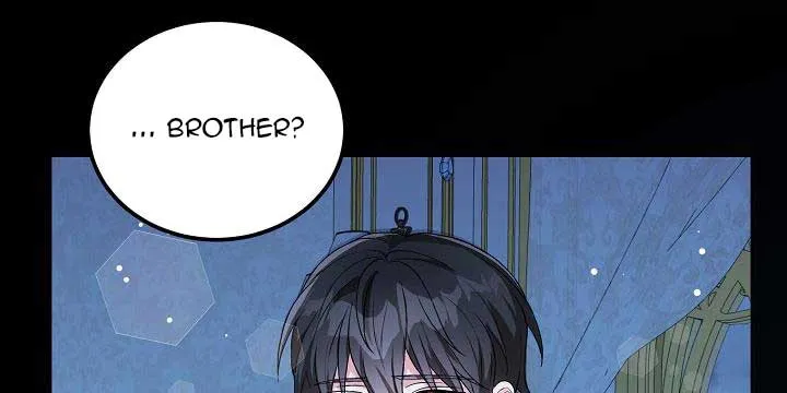 The Heroine Wants Me As Her Sister-in-Law Chapter 6 page 9 - 