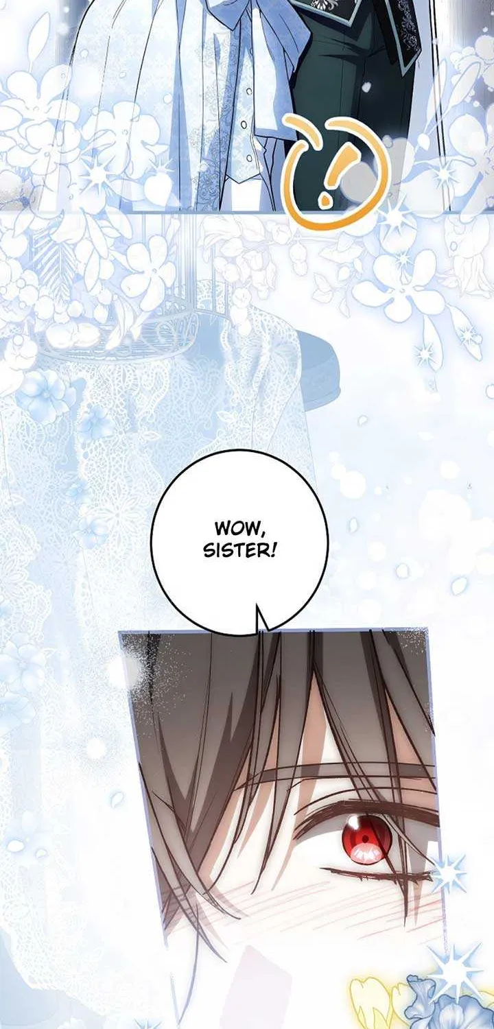 The Heroine Wants Me As Her Sister-in-Law Chapter 60 page 7 - 