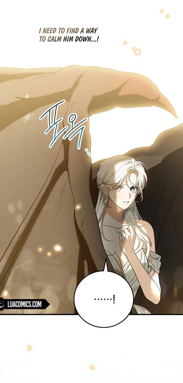 The Heroine Wants Me As Her Sister-in-Law Chapter 62 page 12 - 