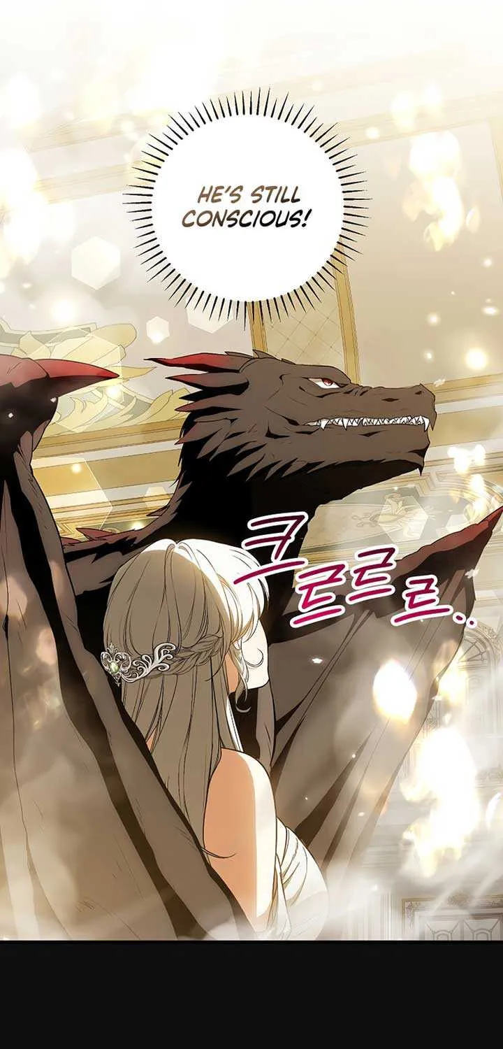The Heroine Wants Me As Her Sister-in-Law Chapter 62 page 13 - 