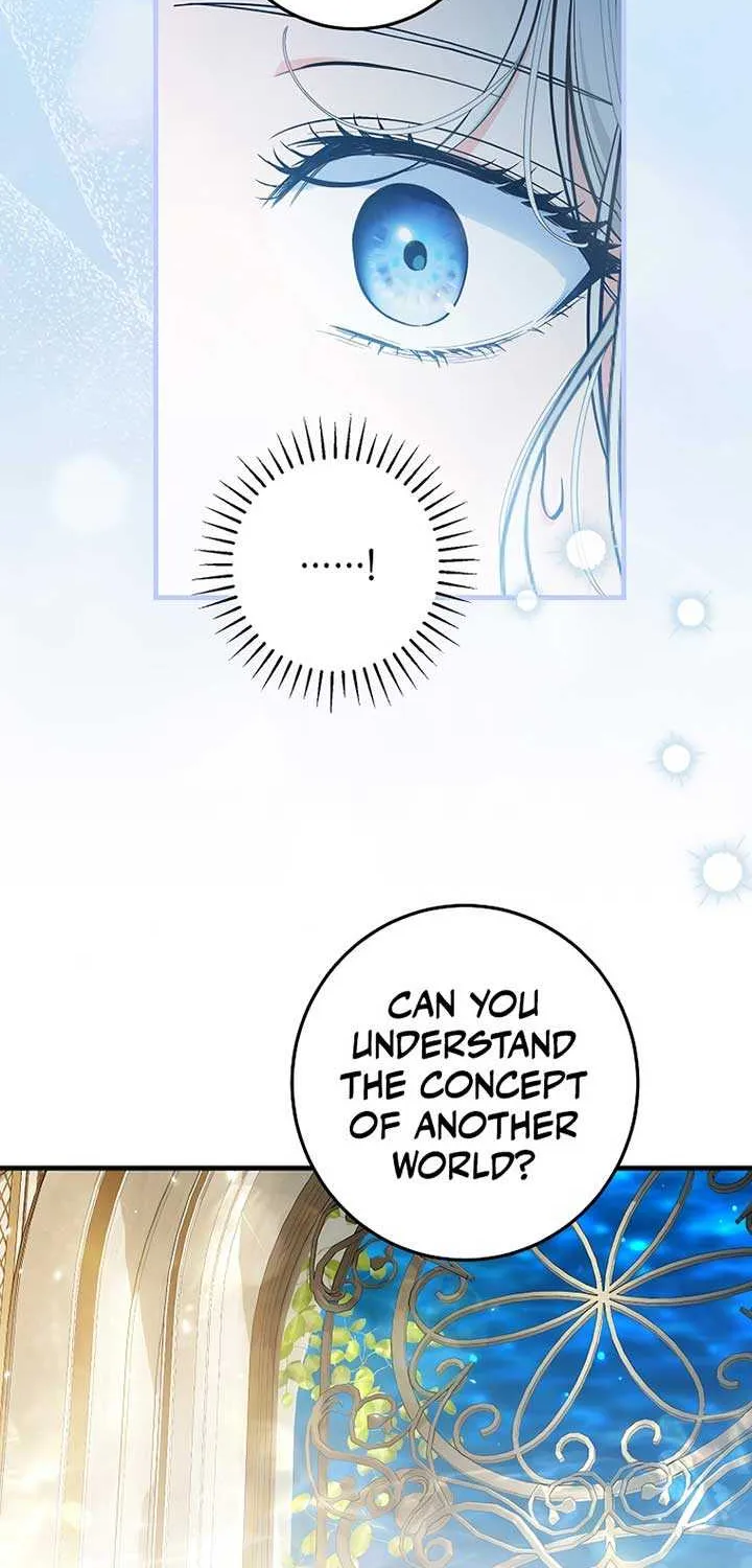 The Heroine Wants Me As Her Sister-in-Law Chapter 62 page 62 - 