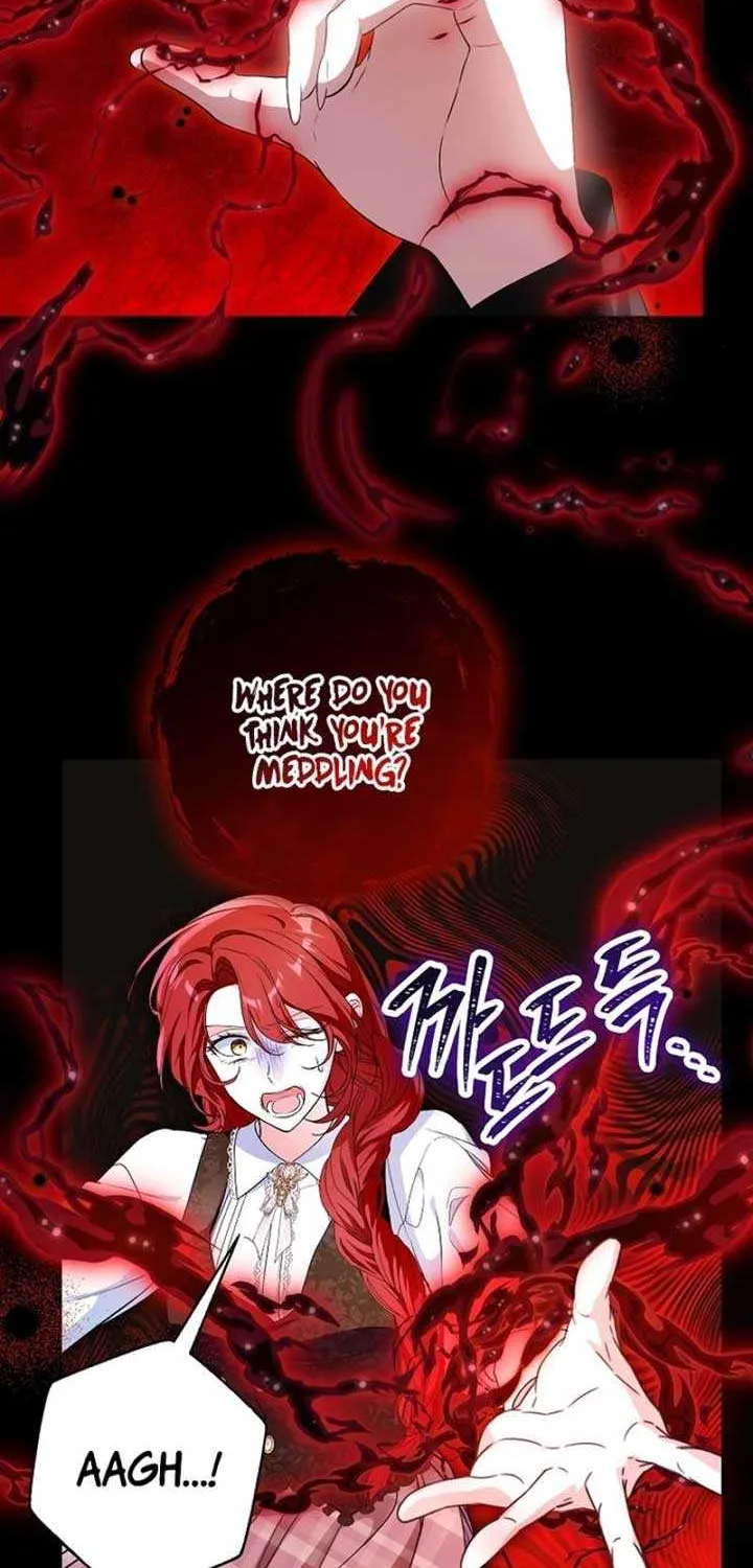 The Heroine Wants Me As Her Sister-in-Law Chapter 63 page 12 - 