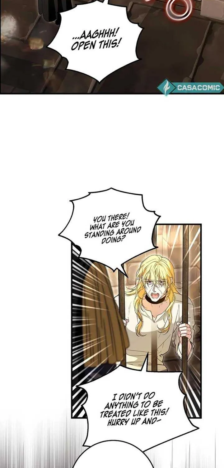 The Heroine Wants Me As Her Sister-in-Law Chapter 63 page 42 - 