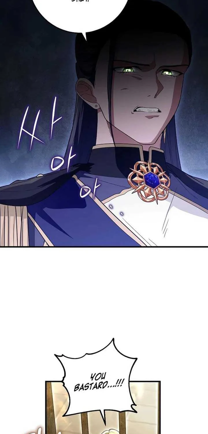 The Heroine Wants Me As Her Sister-in-Law Chapter 63 page 46 - 