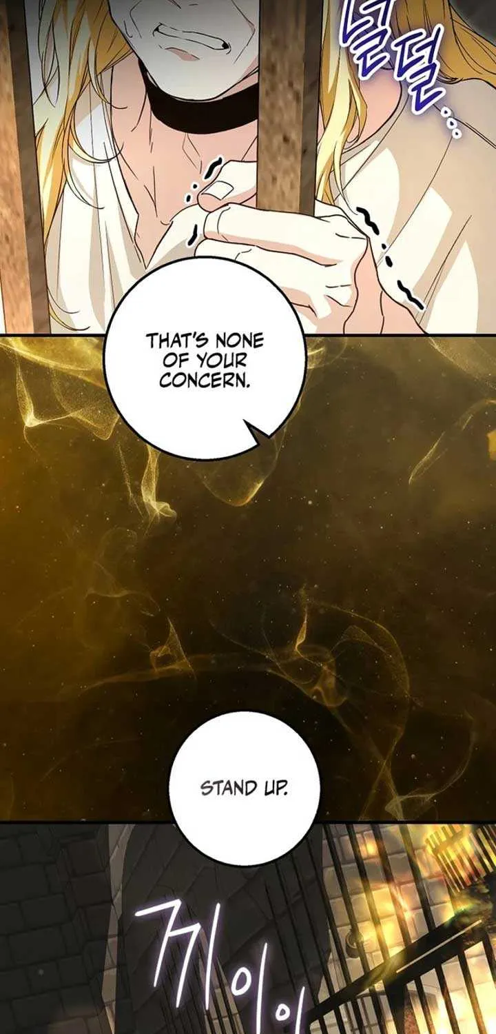 The Heroine Wants Me As Her Sister-in-Law Chapter 63 page 49 - 