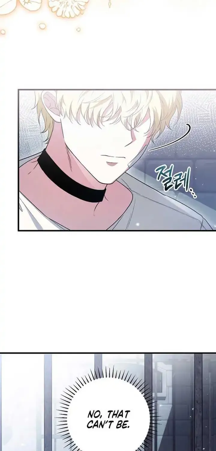 The Heroine Wants Me As Her Sister-in-Law Chapter 64 page 28 - 