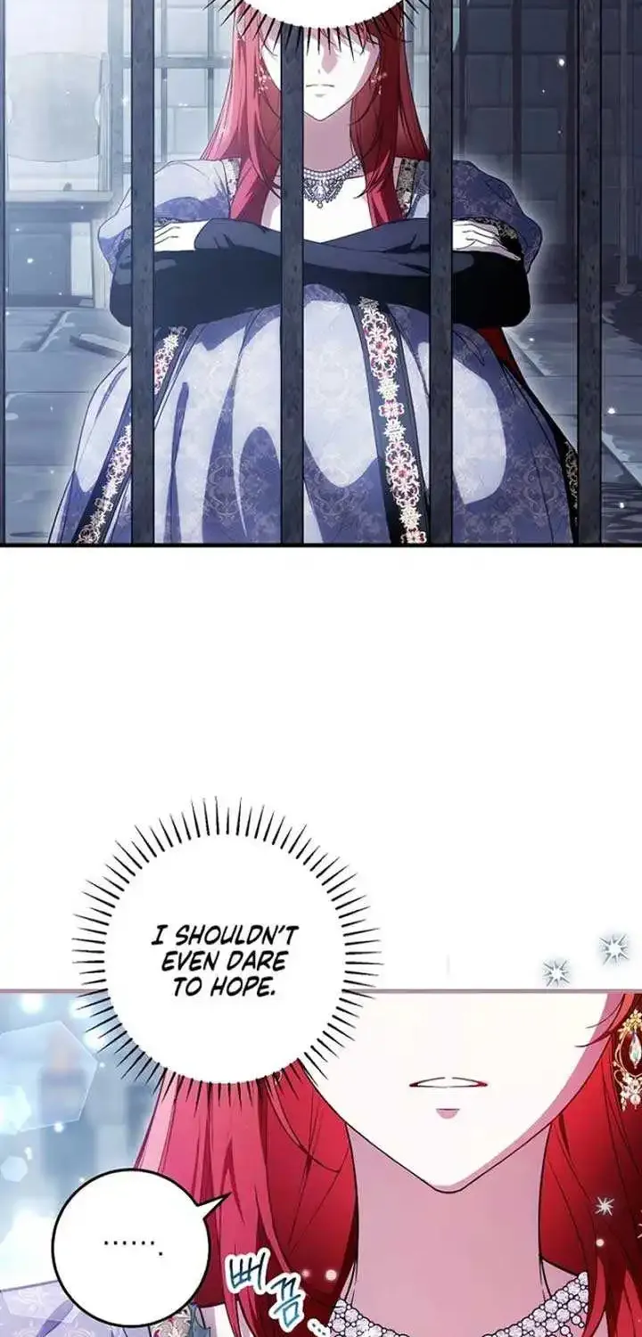 The Heroine Wants Me As Her Sister-in-Law Chapter 64 page 29 - 