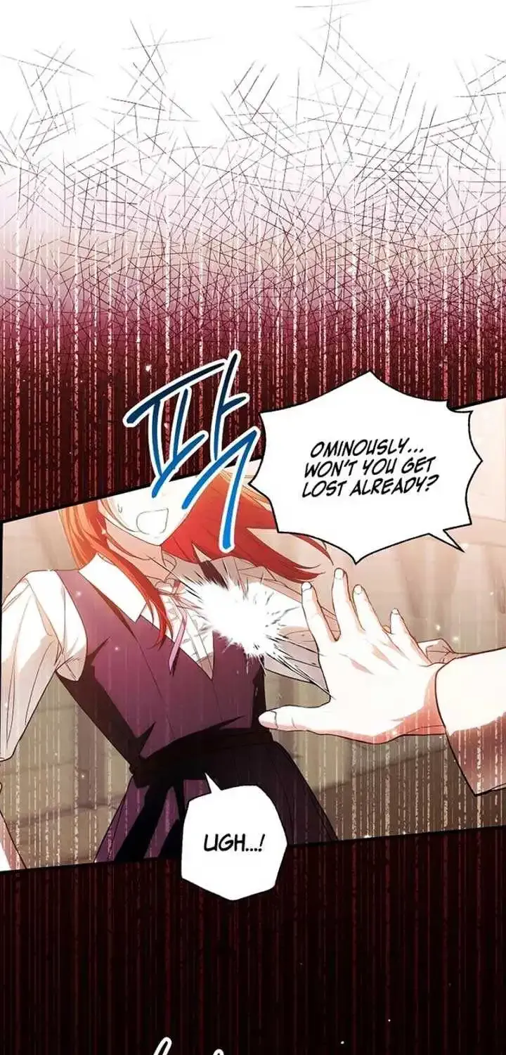 The Heroine Wants Me As Her Sister-in-Law Chapter 64 page 34 - 