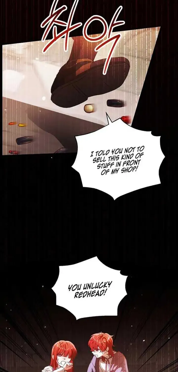 The Heroine Wants Me As Her Sister-in-Law Chapter 64 page 35 - 