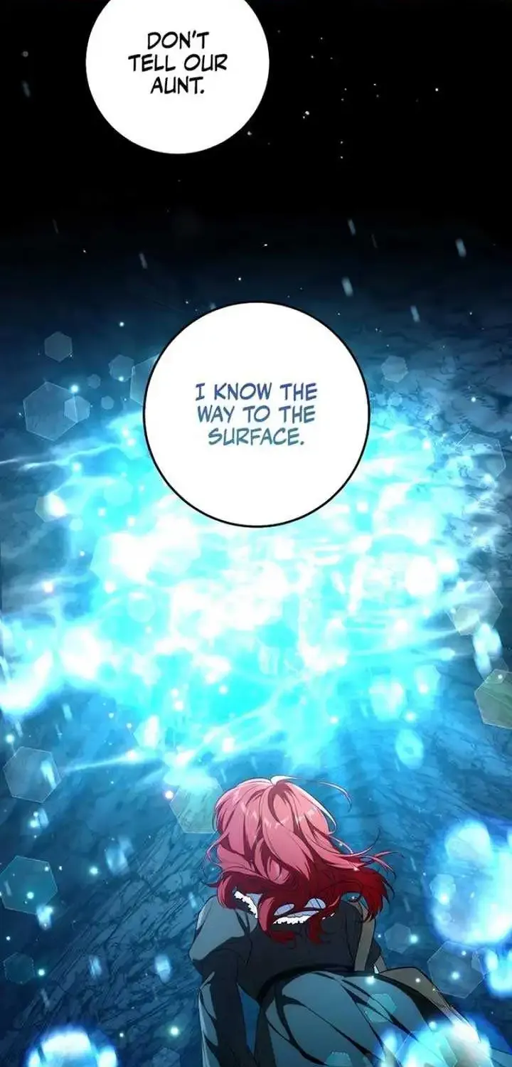 The Heroine Wants Me As Her Sister-in-Law Chapter 64 page 45 - 