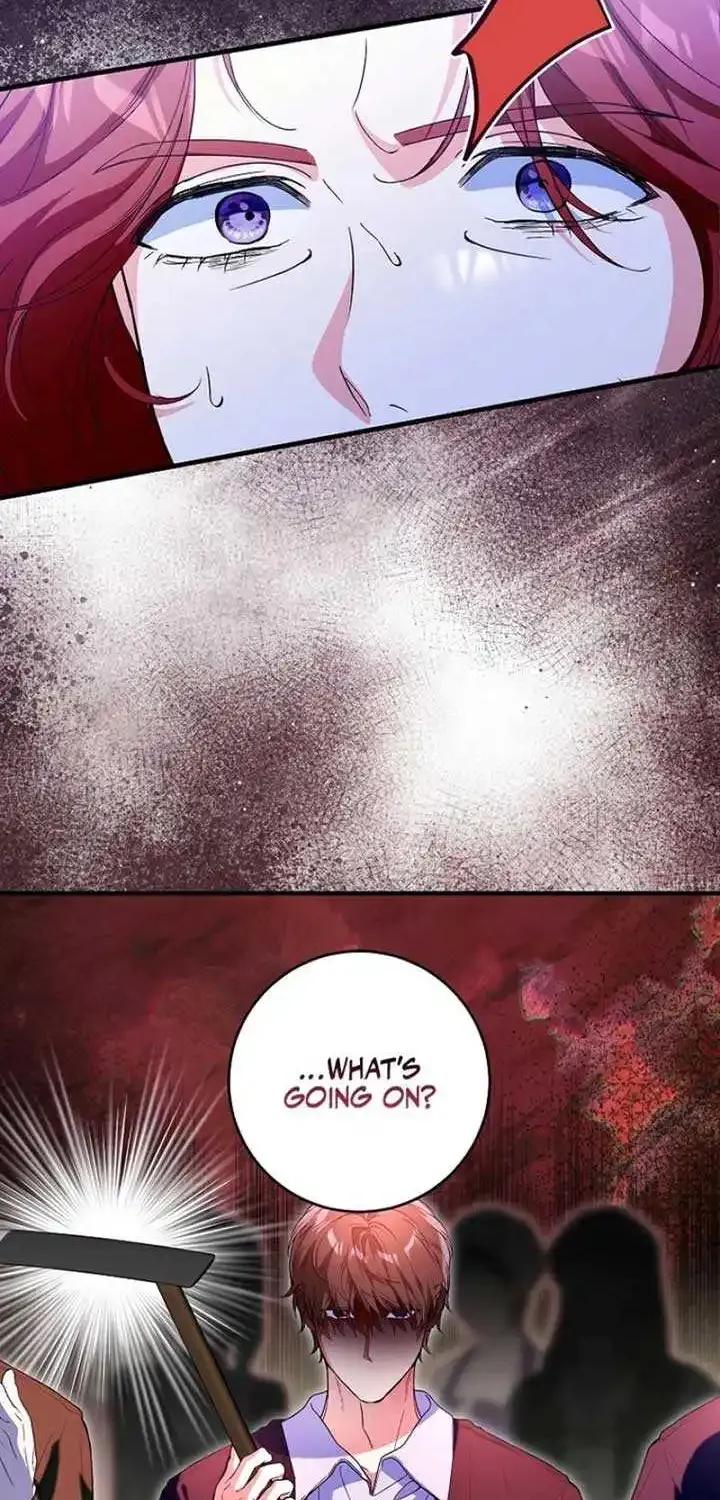 The Heroine Wants Me As Her Sister-in-Law Chapter 65 page 43 - 