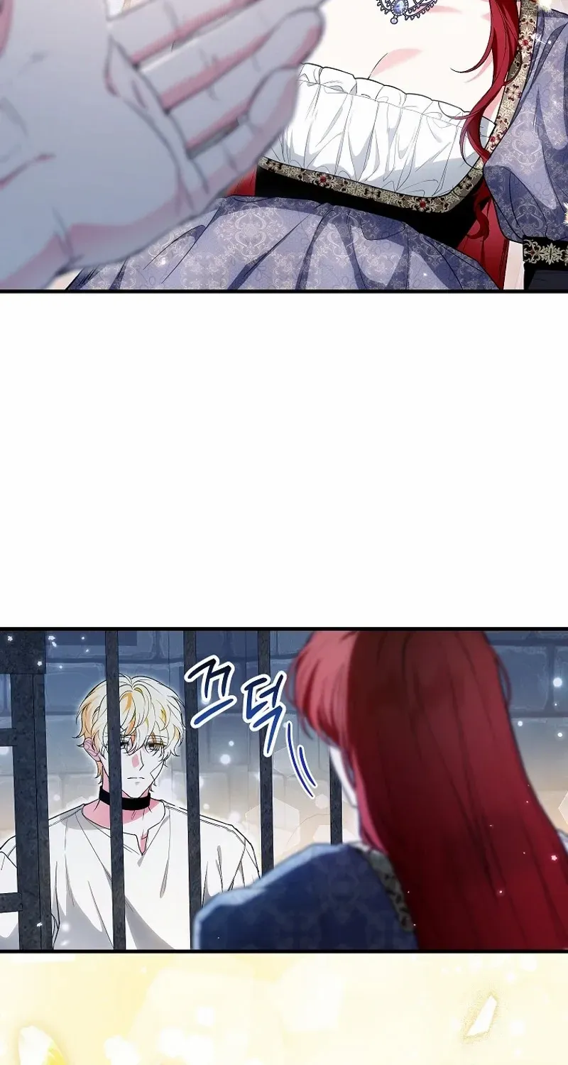 The Heroine Wants Me As Her Sister-in-Law Chapter 66 page 47 - 