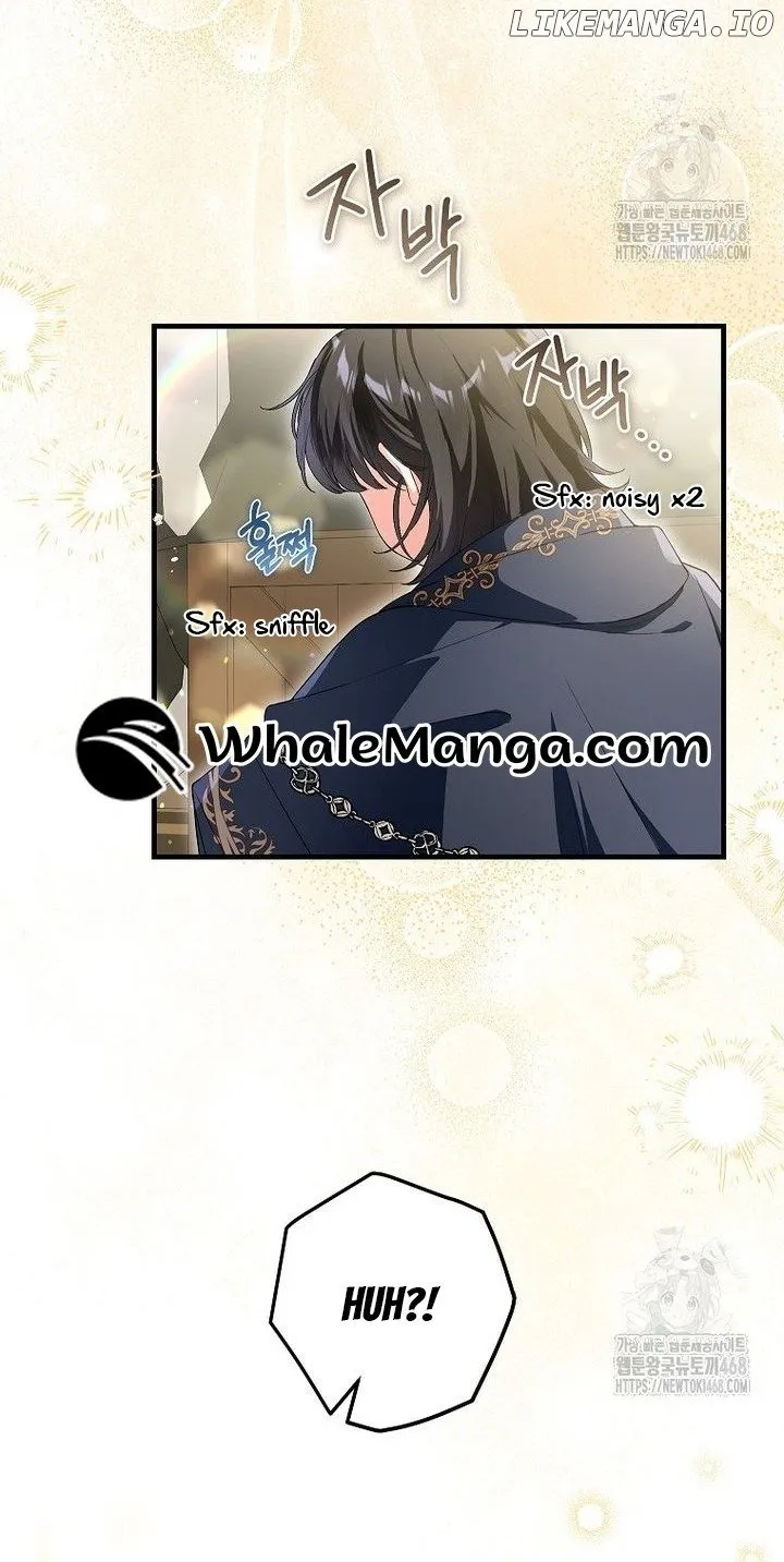 The Heroine Wants Me As Her Sister-in-Law Chapter 68 page 17 - 