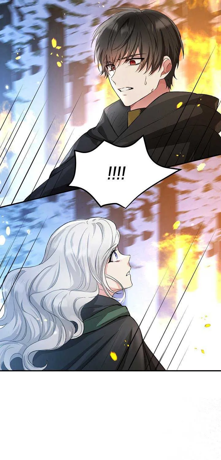 The Heroine Wants Me As Her Sister-in-Law Chapter 7 page 43 - 