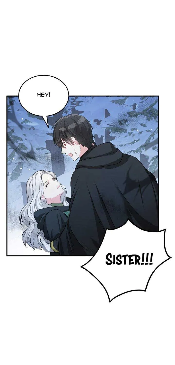 The Heroine Wants Me As Her Sister-in-Law Chapter 7 page 52 - 