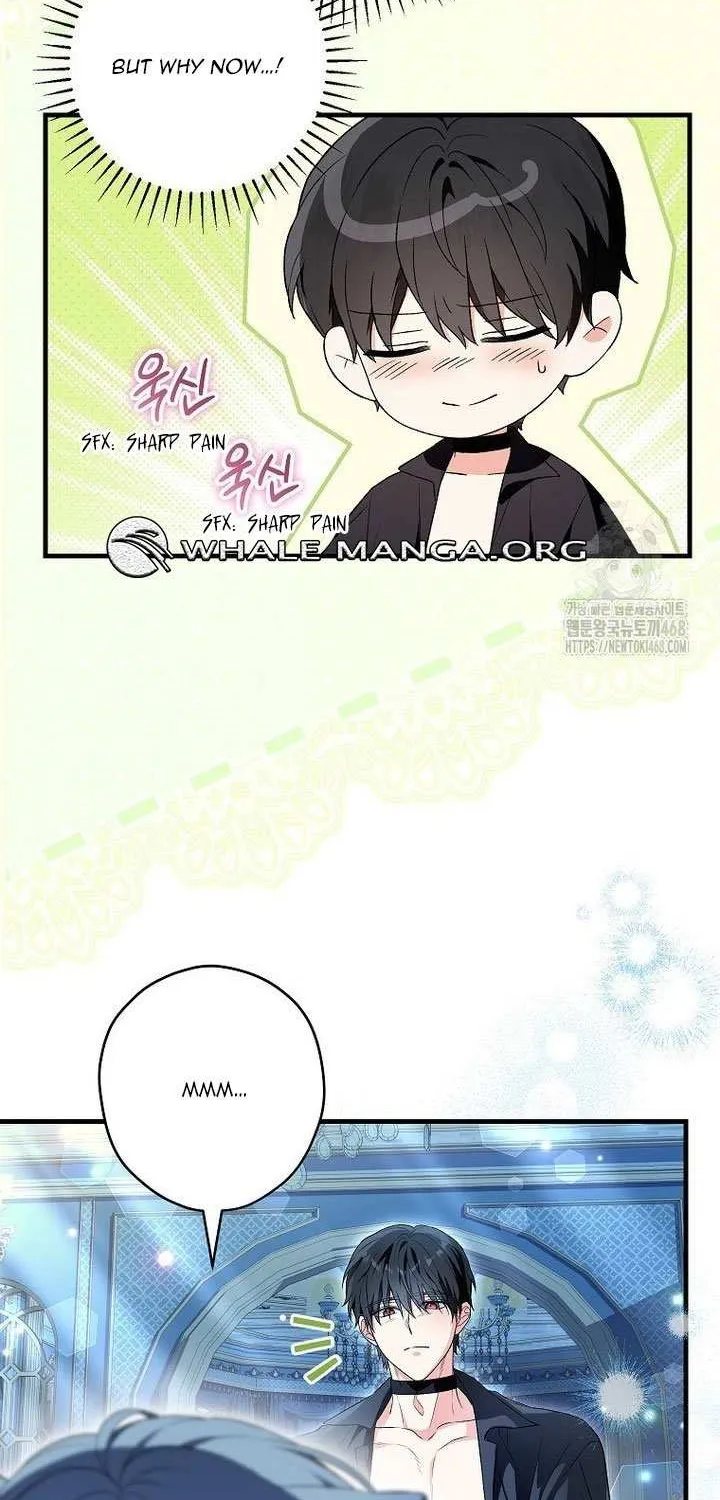 The Heroine Wants Me As Her Sister-in-Law Chapter 70 page 23 - 