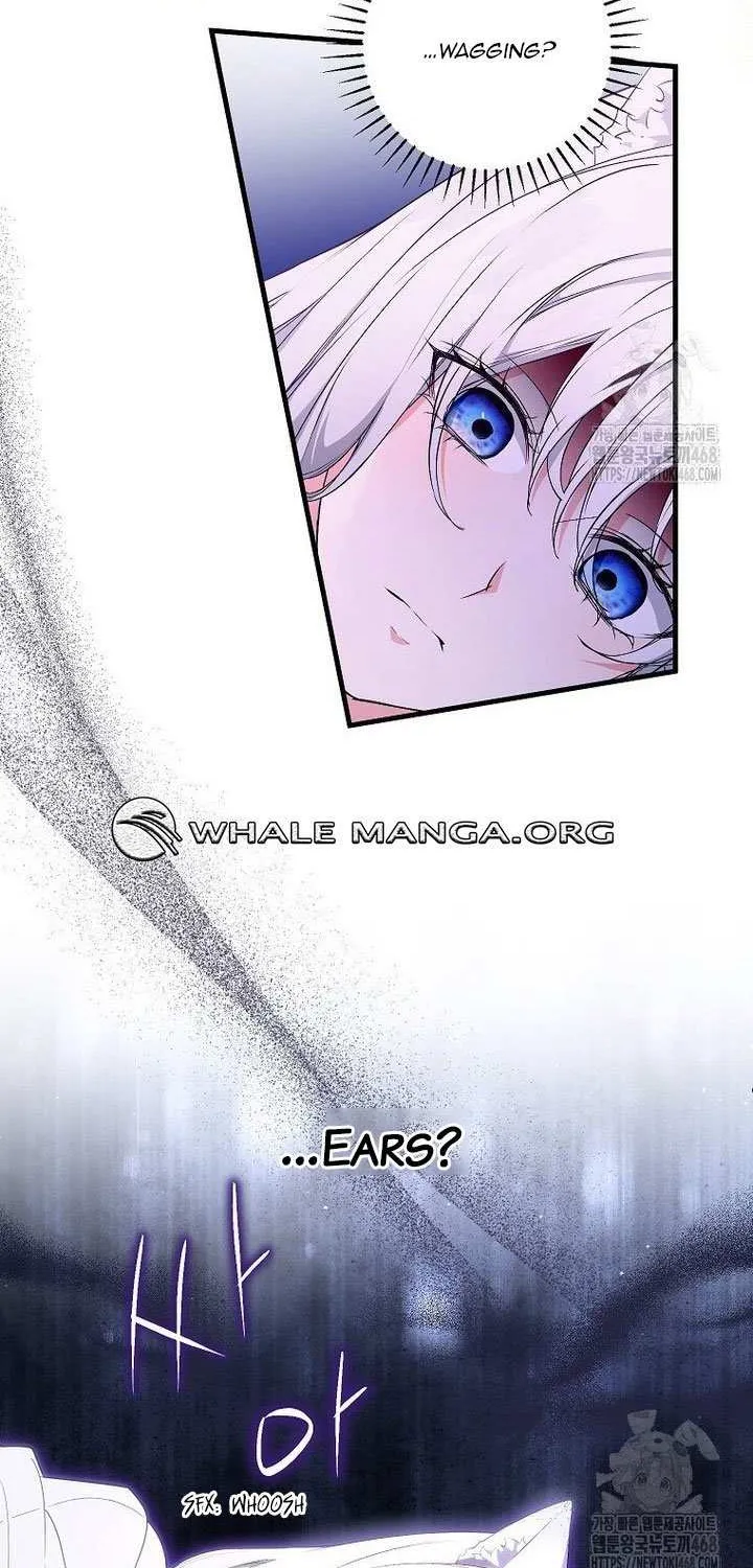 The Heroine Wants Me As Her Sister-in-Law Chapter 70 page 38 - 
