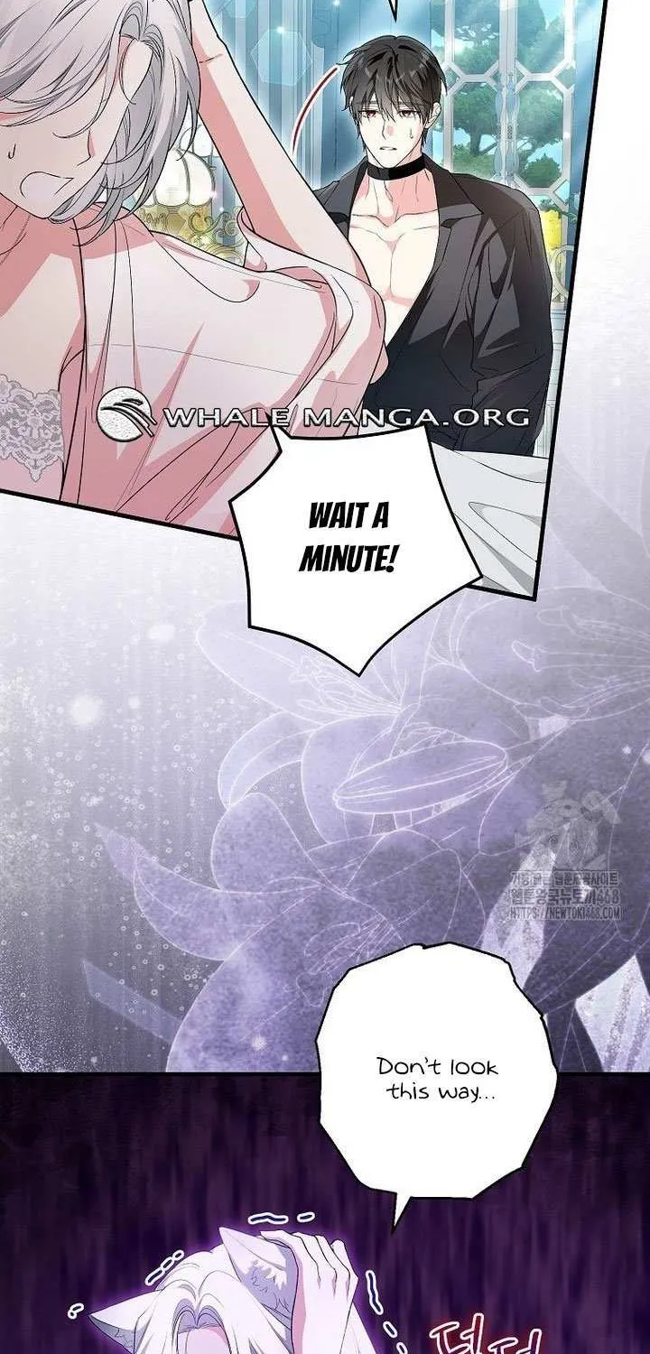 The Heroine Wants Me As Her Sister-in-Law Chapter 70 page 41 - 