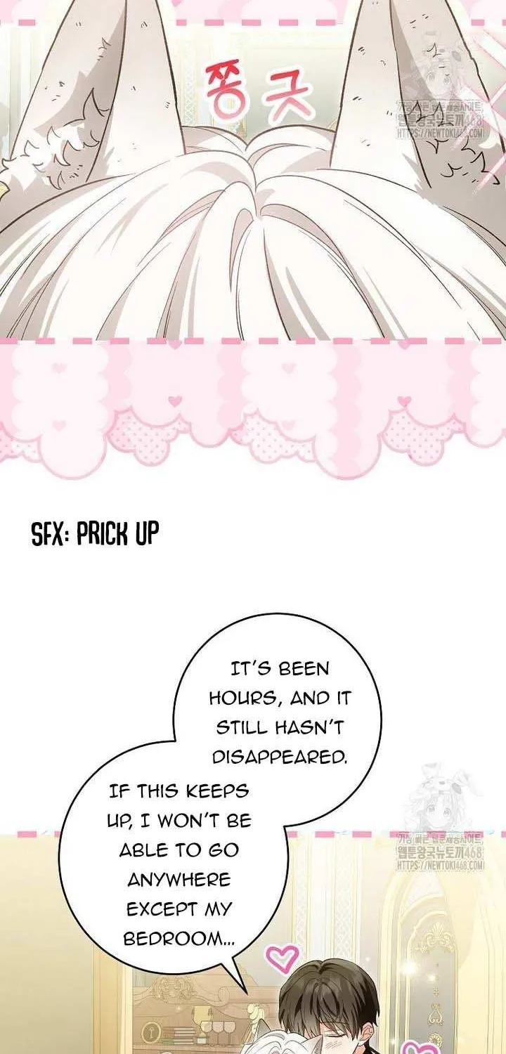 The Heroine Wants Me As Her Sister-in-Law Chapter 71 page 38 - 