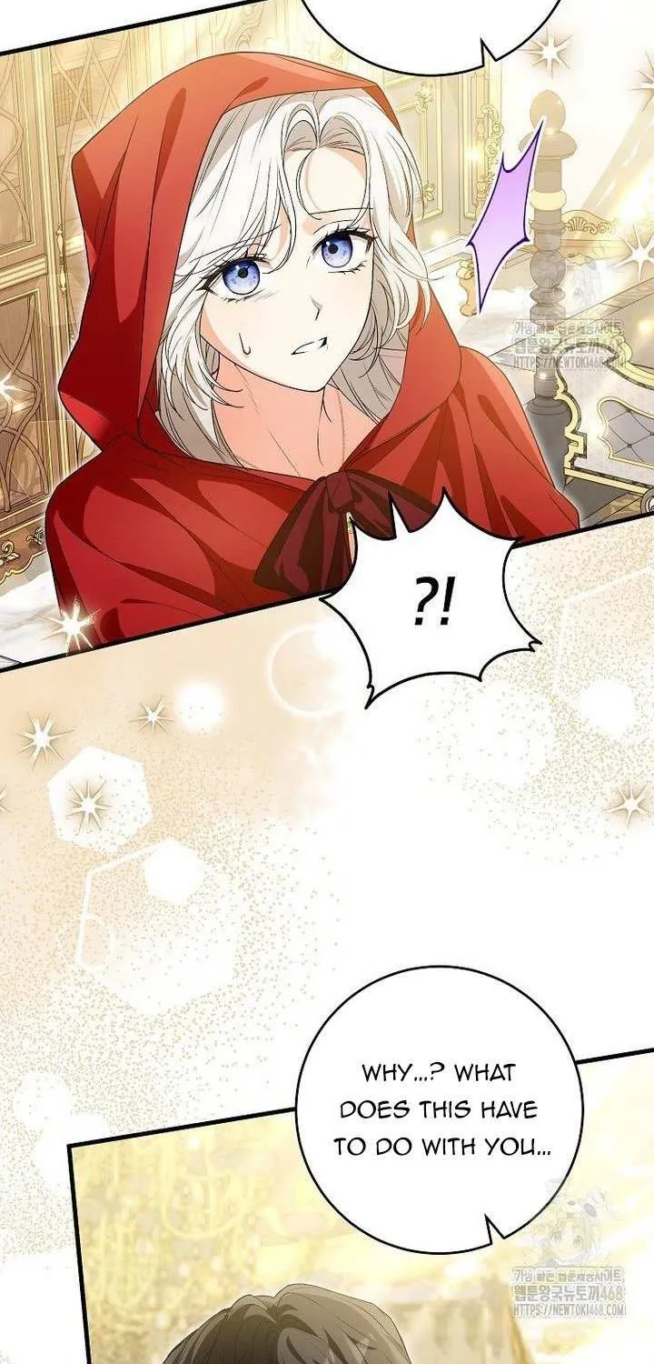 The Heroine Wants Me As Her Sister-in-Law Chapter 72 page 20 - 