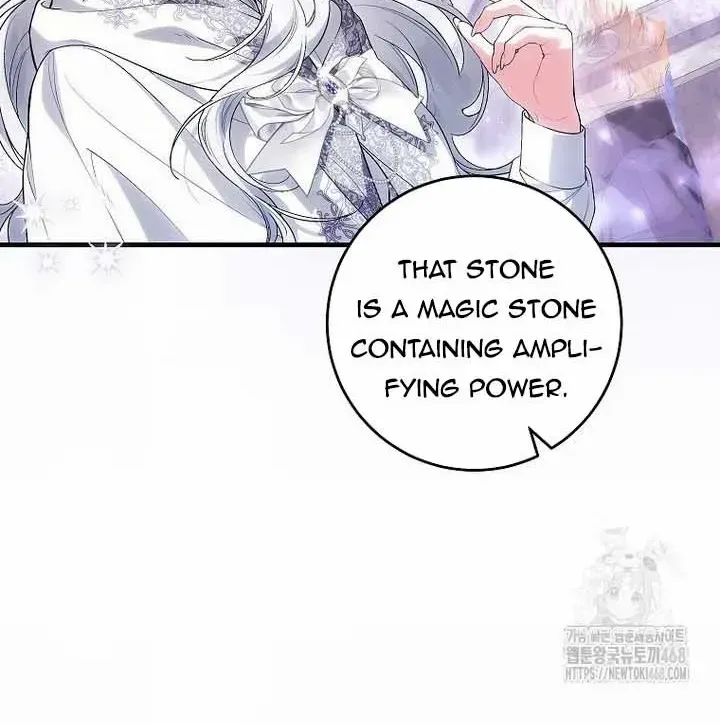The Heroine Wants Me As Her Sister-in-Law Chapter 75 page 19 - 