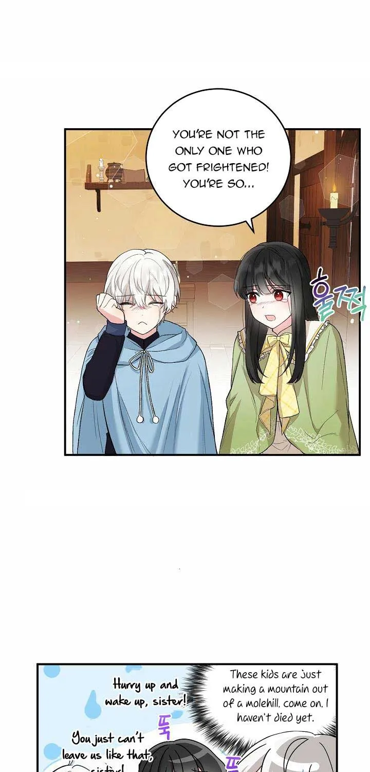 The Heroine Wants Me As Her Sister-in-Law Chapter 8 page 12 - 