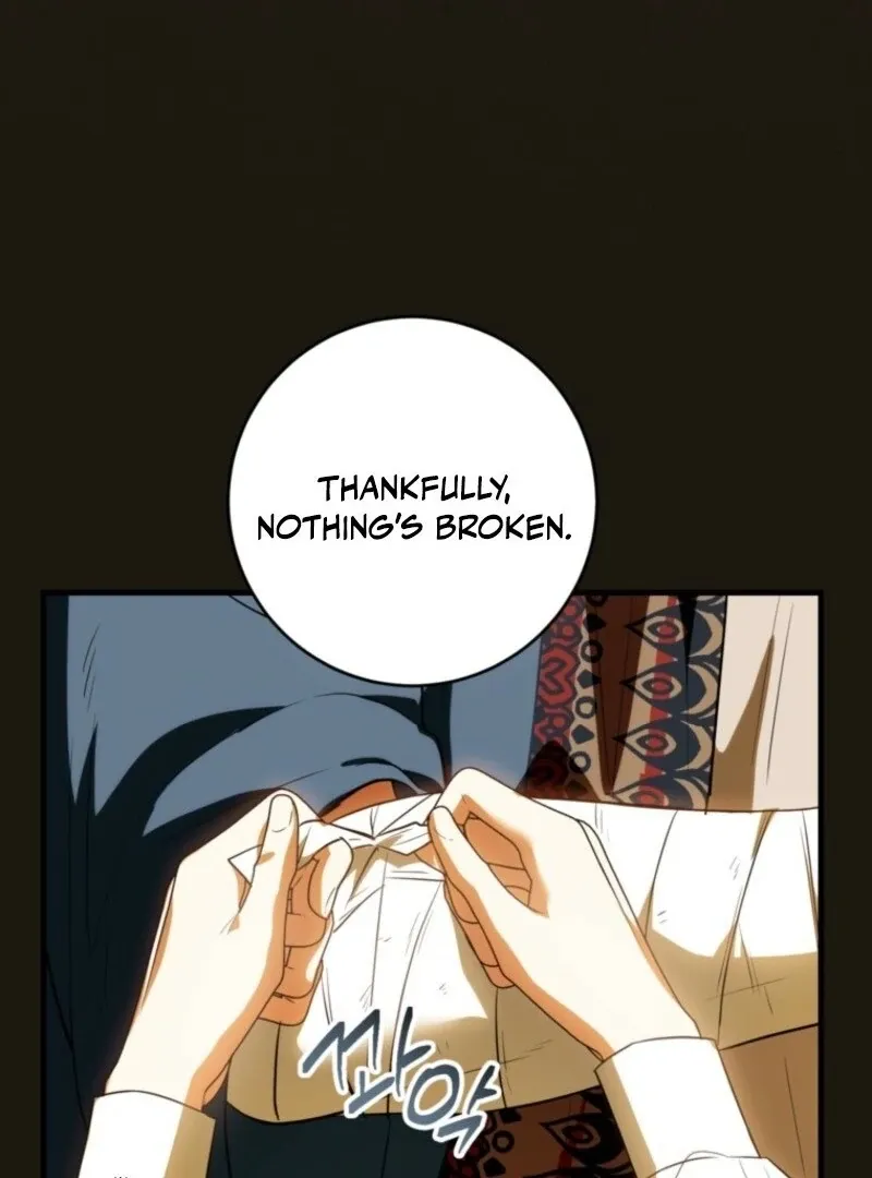 The Heroine Wants Me As Her Sister-in-Law Chapter 85 page 61 - 