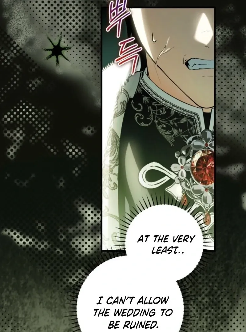 The Heroine Wants Me As Her Sister-in-Law Chapter 88 page 7 - 