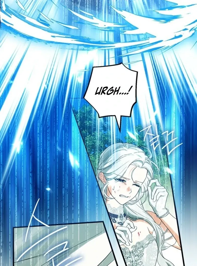 The Heroine Wants Me As Her Sister-in-Law Chapter 89 page 74 - 