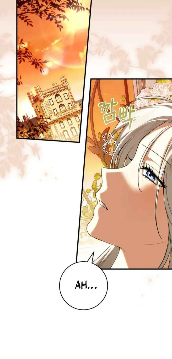 The Heroine Wants Me As Her Sister-in-Law Chapter 91 page 12 - 