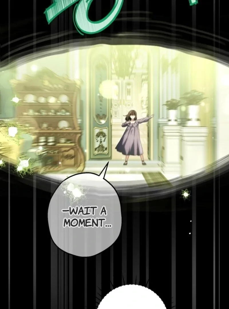 The Heroine Wants Me As Her Sister-in-Law Chapter 92 page 43 - 