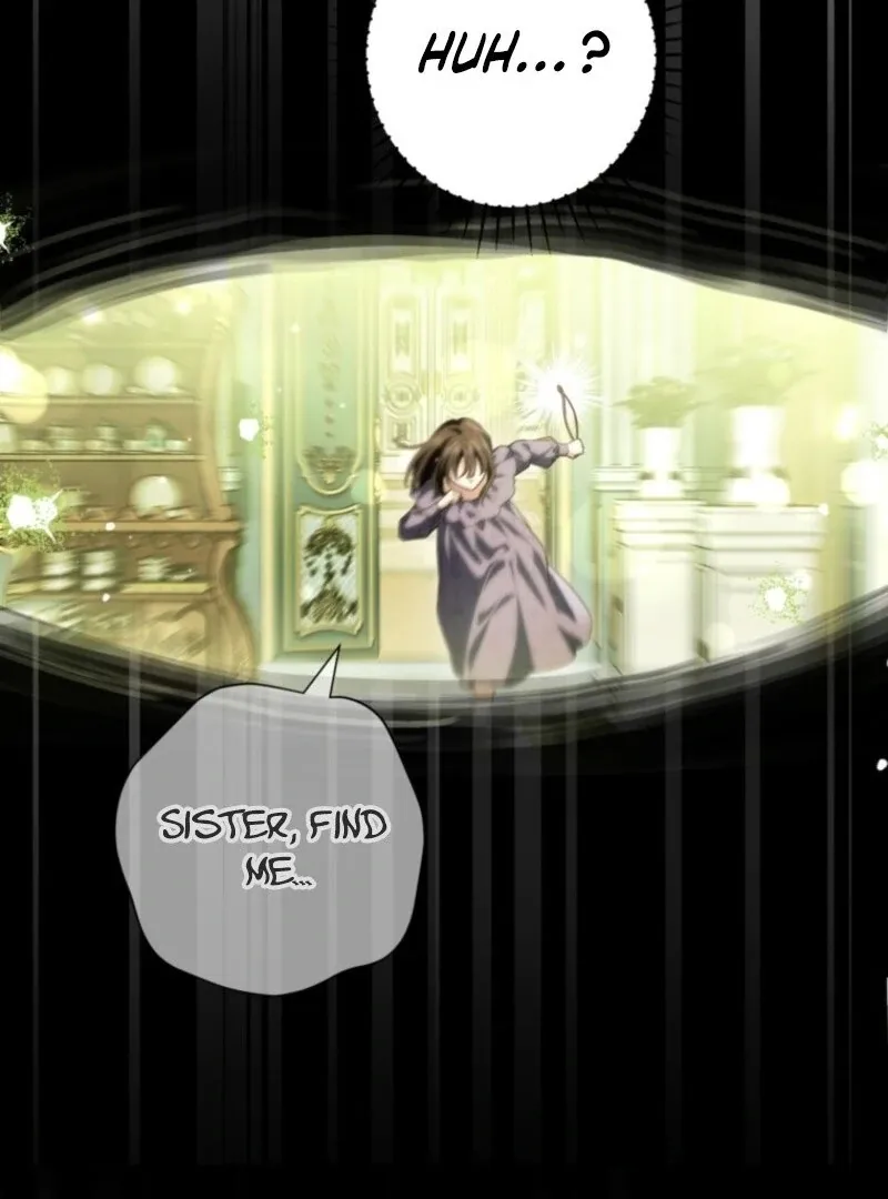 The Heroine Wants Me As Her Sister-in-Law Chapter 92 page 44 - 
