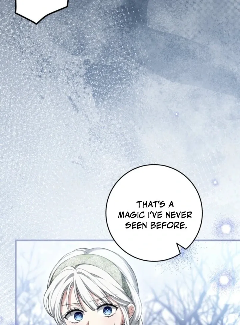 The Heroine Wants Me As Her Sister-in-Law Chapter 92 page 73 - 