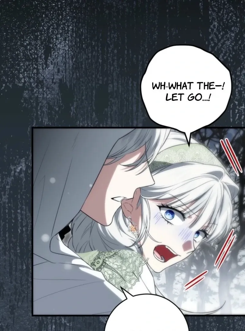 The Heroine Wants Me As Her Sister-in-Law Chapter 93 page 35 - 