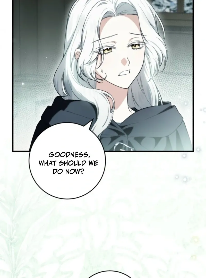 The Heroine Wants Me As Her Sister-in-Law Chapter 94 page 5 - 