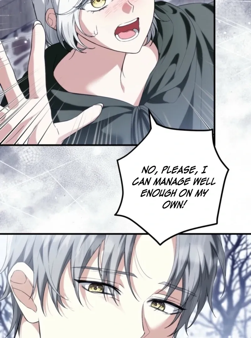 The Heroine Wants Me As Her Sister-in-Law Chapter 94 page 58 - 