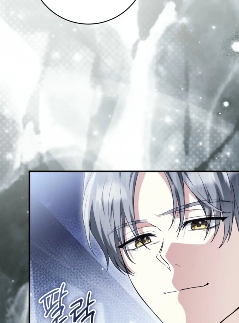 The Heroine Wants Me As Her Sister-in-Law Chapter 94 page 89 - 