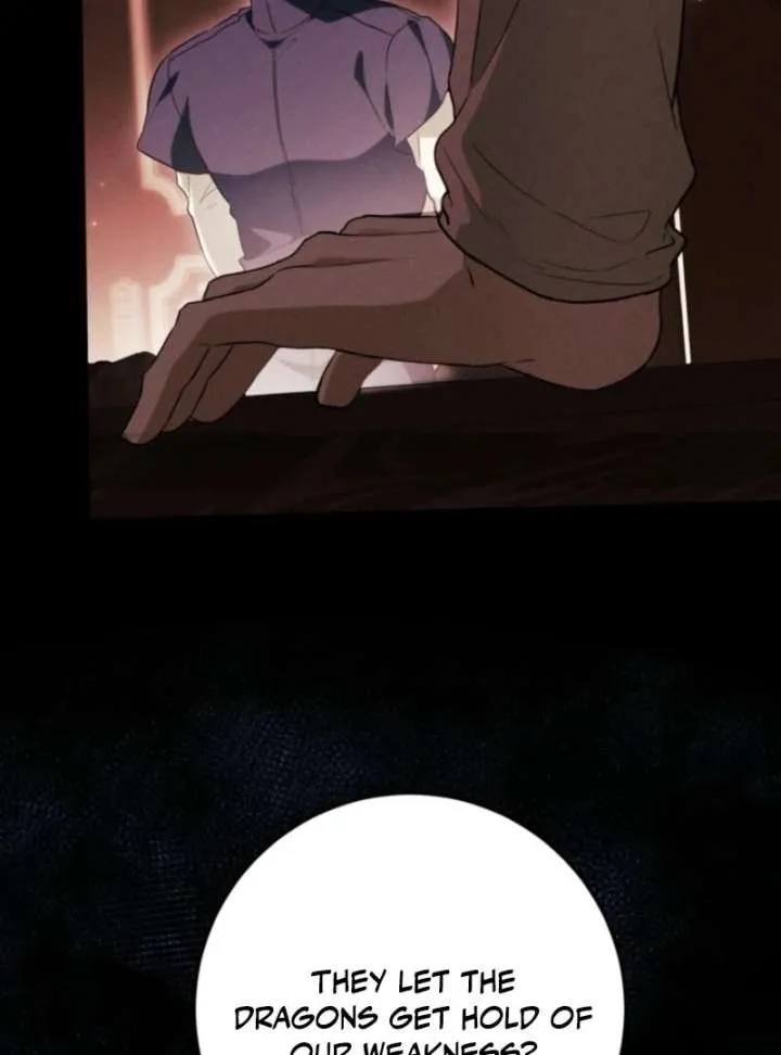 The Heroine Wants Me As Her Sister-in-Law Chapter 95 page 17 - 