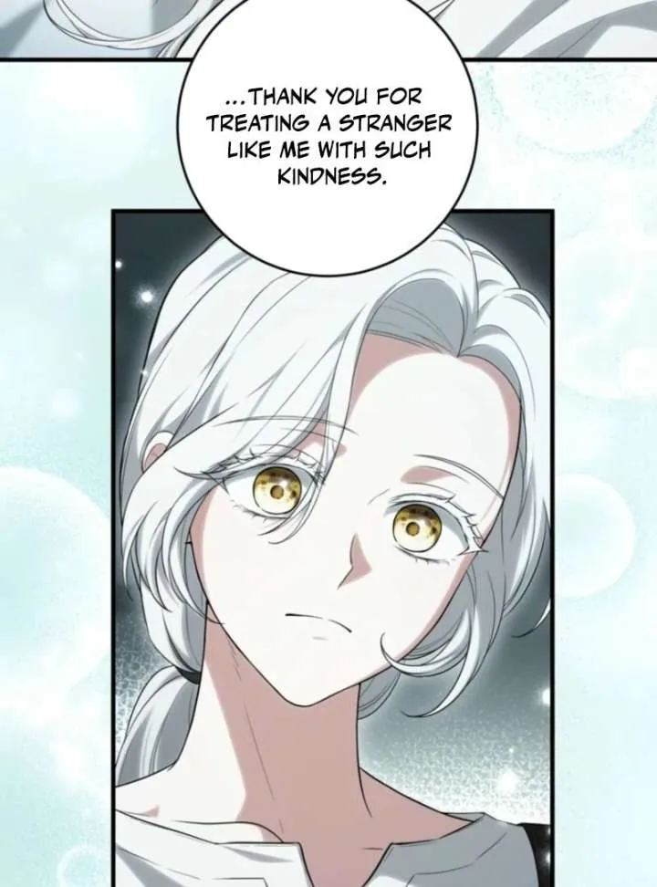 The Heroine Wants Me As Her Sister-in-Law Chapter 95 page 73 - 