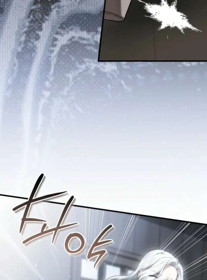 The Heroine Wants Me As Her Sister-in-Law Chapter 95 page 97 - 