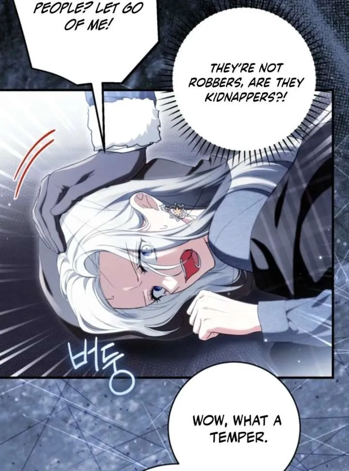 The Heroine Wants Me As Her Sister-in-Law Chapter 96 page 11 - 