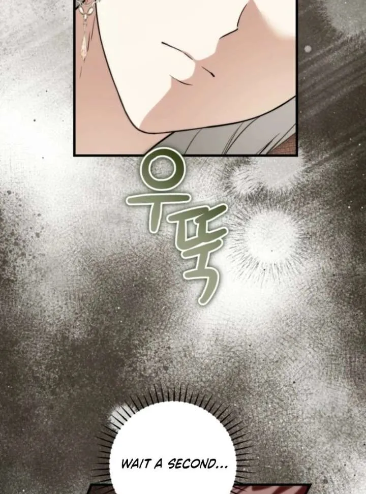 The Heroine Wants Me As Her Sister-in-Law Chapter 96 page 83 - 