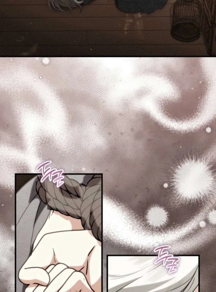 The Heroine Wants Me As Her Sister-in-Law Chapter 96 page 92 - 
