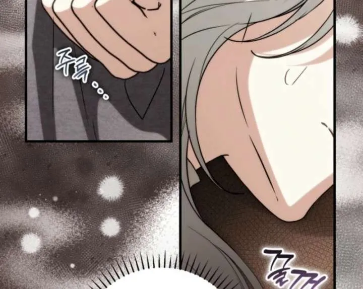 The Heroine Wants Me As Her Sister-in-Law Chapter 96 page 93 - 