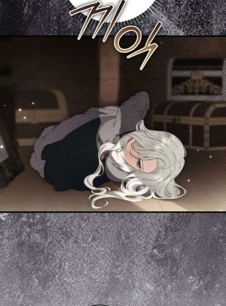 The Heroine Wants Me As Her Sister-in-Law Chapter 96 page 97 - 