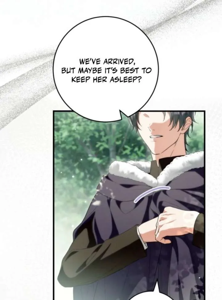 The Heroine Wants Me As Her Sister-in-Law Chapter 96 page 99 - 