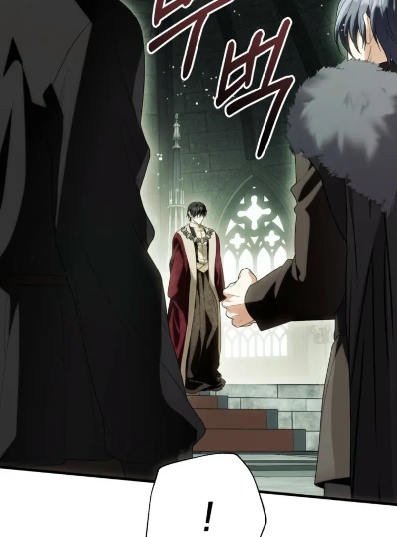 The Heroine Wants Me As Her Sister-in-Law Chapter 97 page 18 - 