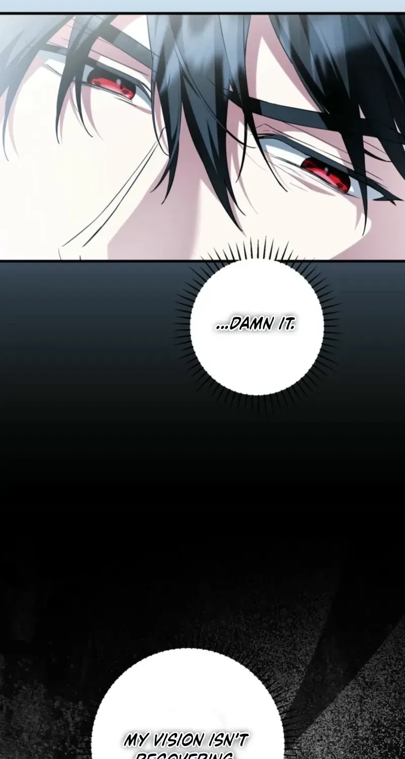 The Heroine Wants Me As Her Sister-in-Law Chapter 99 page 19 - 